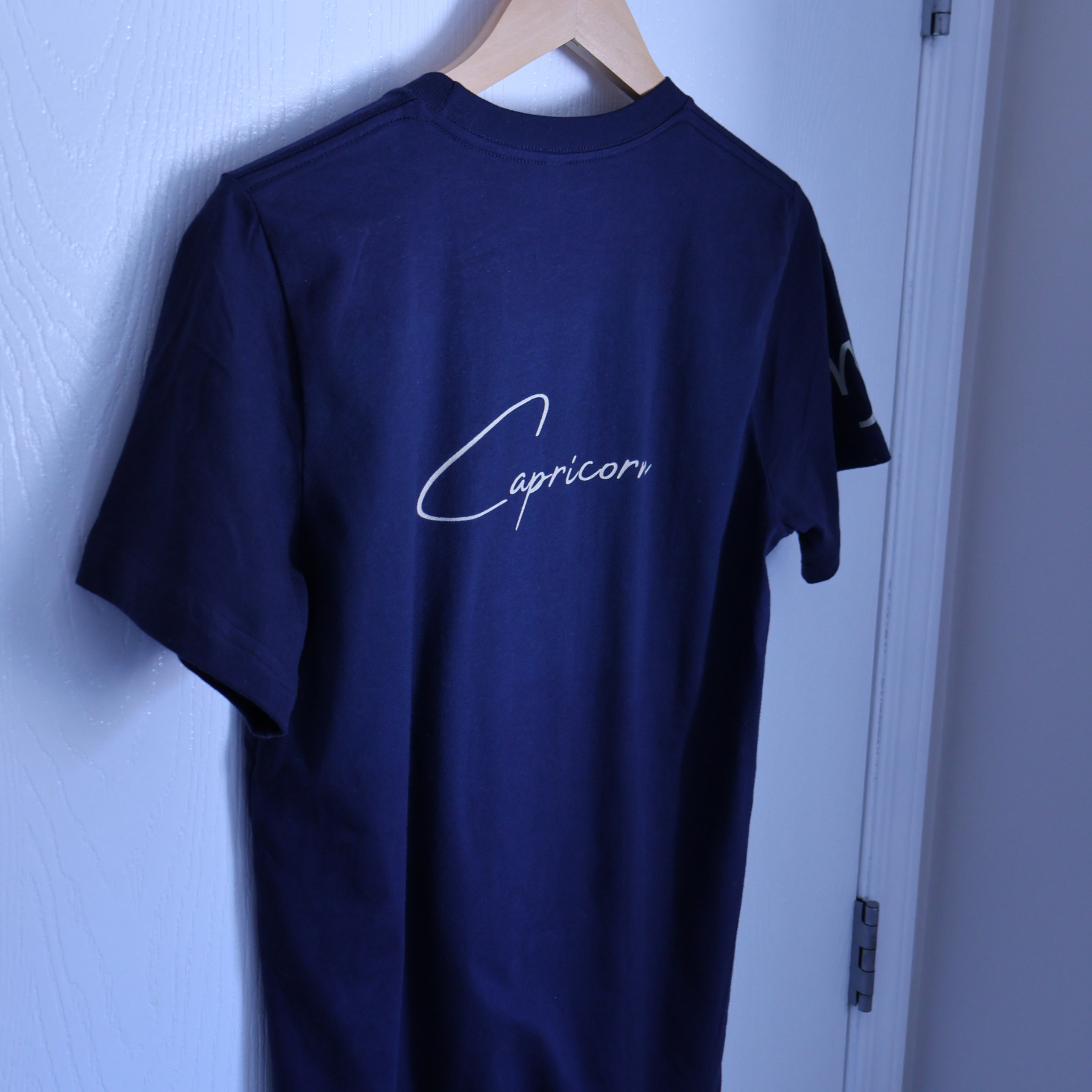 Capricorn Zodiac T-Shirt | Astrology Graphic Shirt | Minimal Gold Capricorn Design | Unisex Jersey Short Sleeve