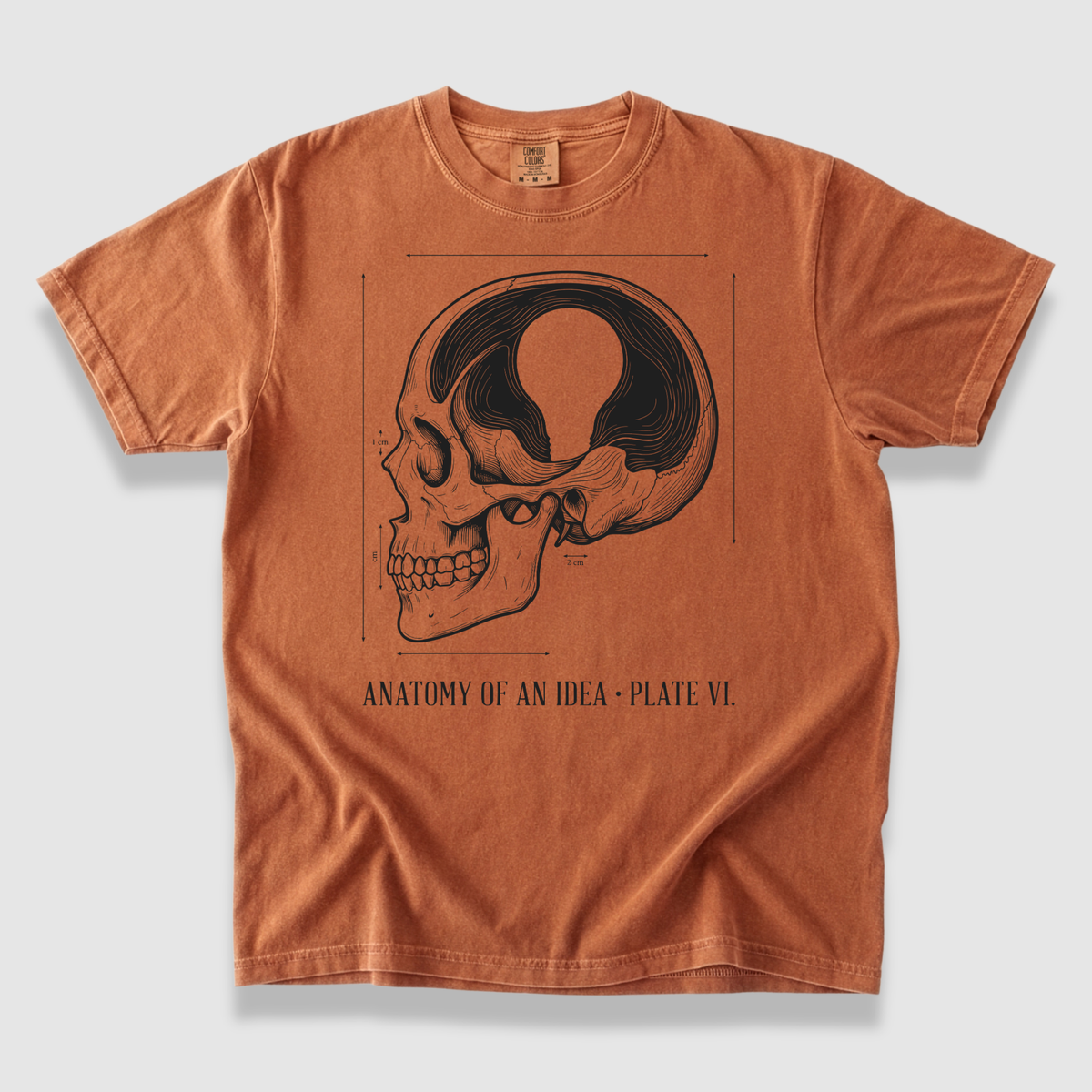 Anatomy of an Idea T-Shirt