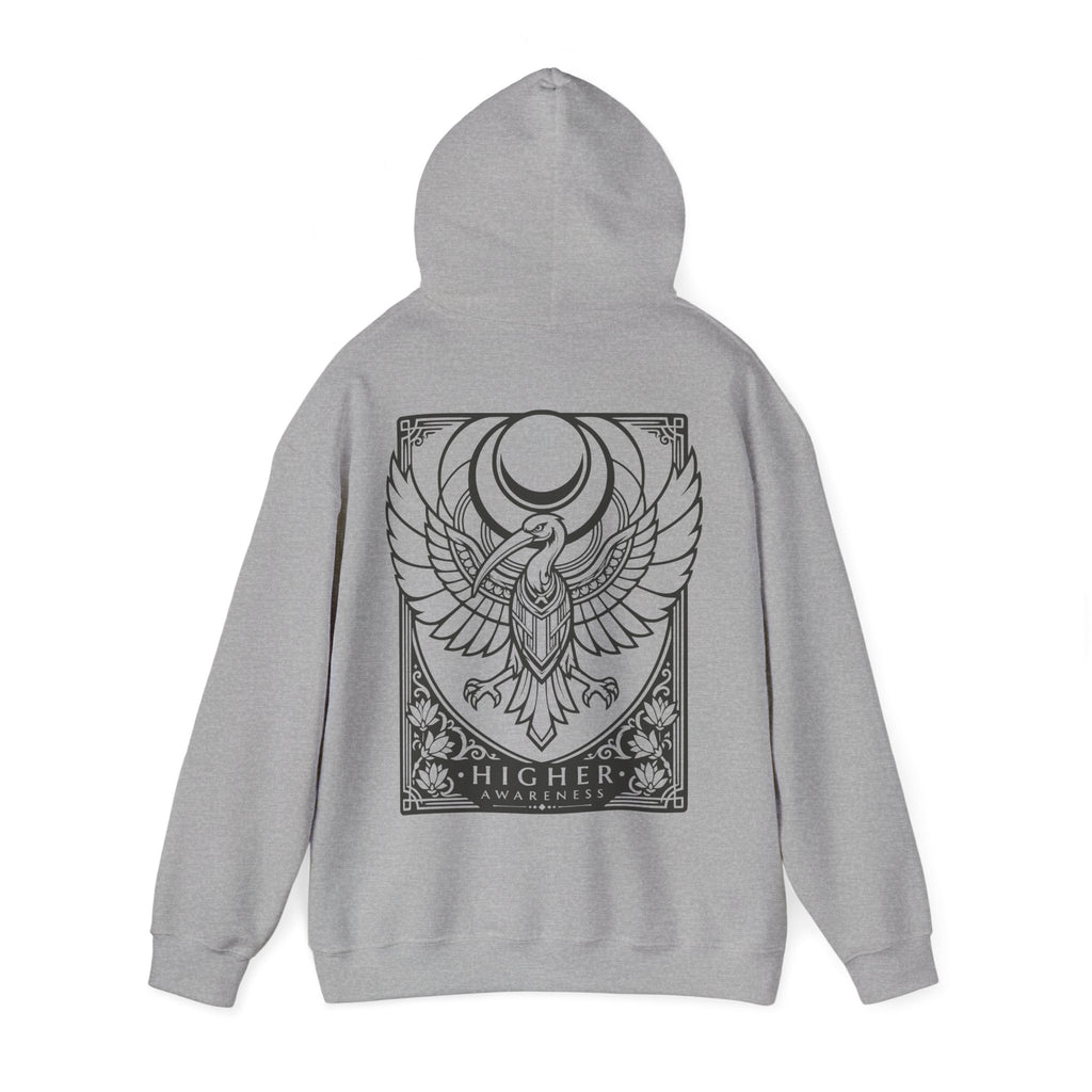 Higher Awareness Hoodie